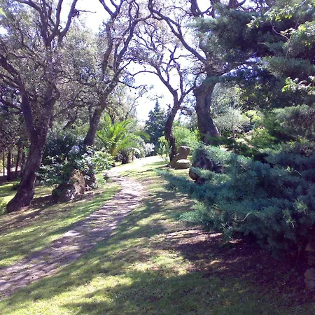 Villa Greenvilla La Caletta